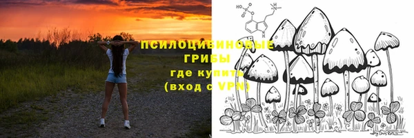 мяу мяу мука Балабаново