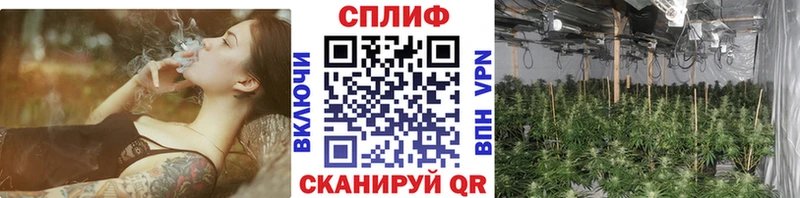 где купить наркоту  Семёнов  Марихуана тримм 